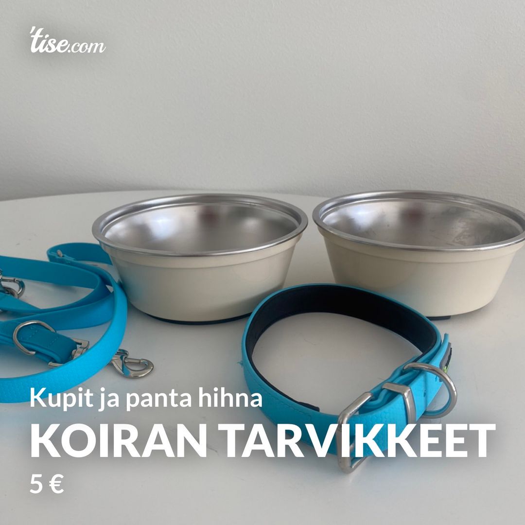 Koiran tarvikkeet