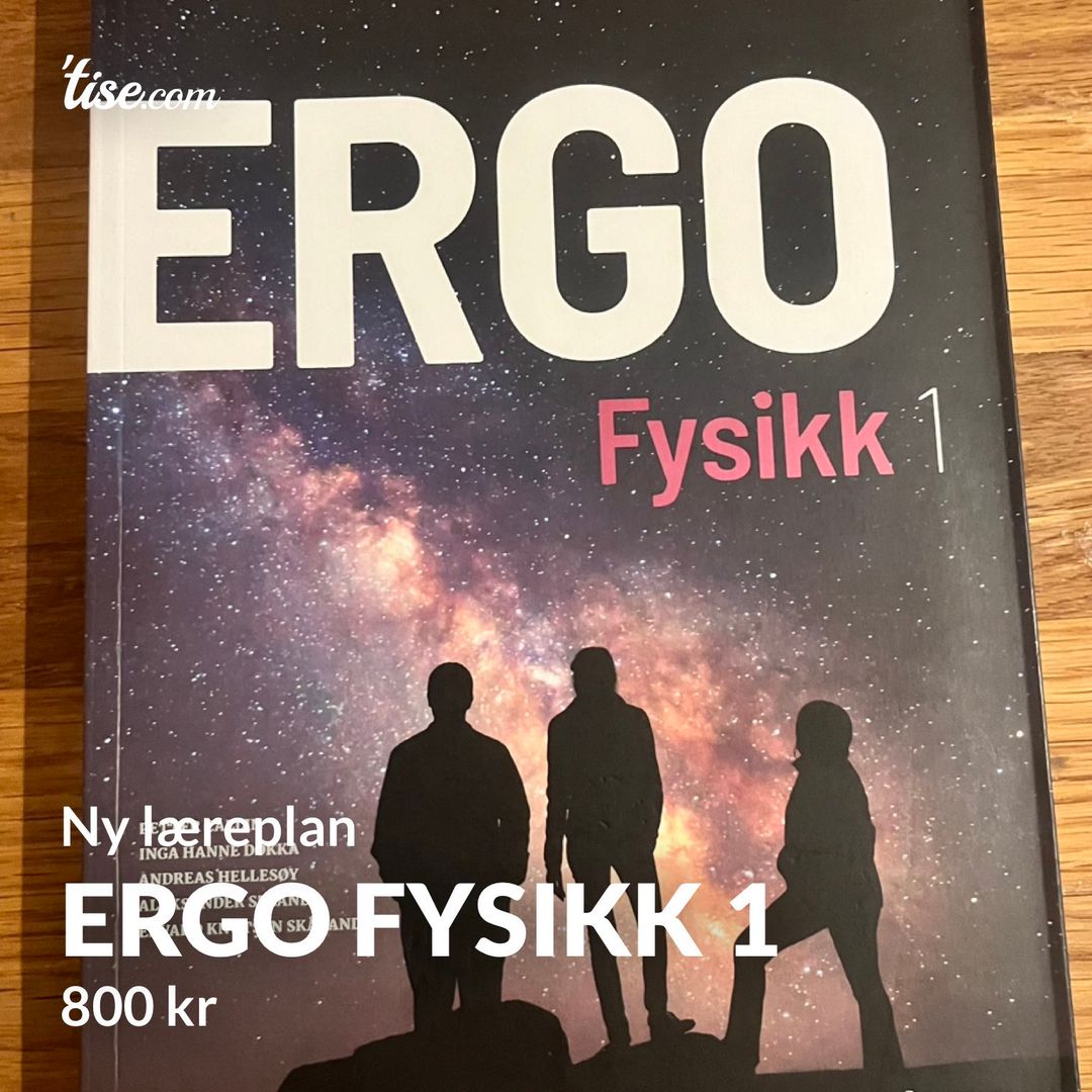 ERGO FYSIKK 1