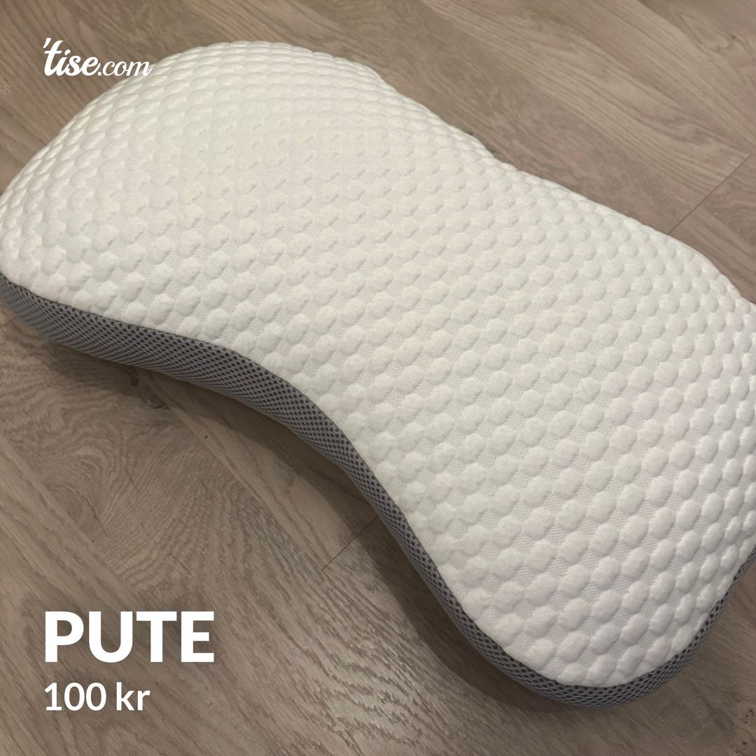 Pute