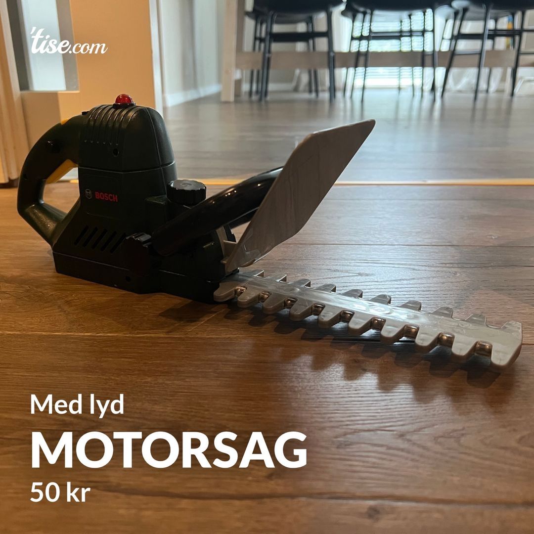 Motorsag