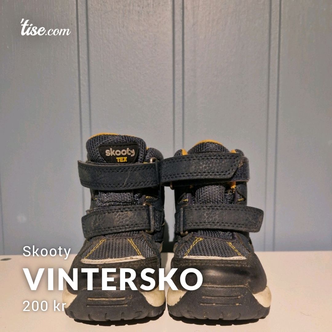 Vintersko