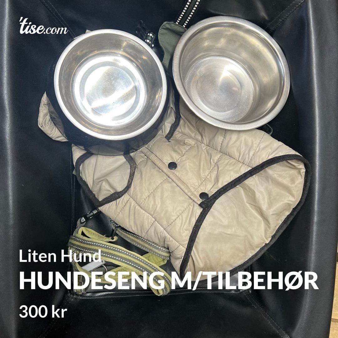 Hundeseng m/tilbehør