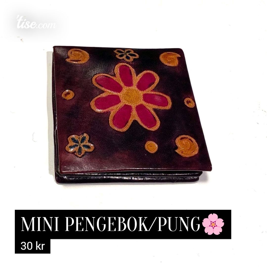 Mini pengebok/pung🌸