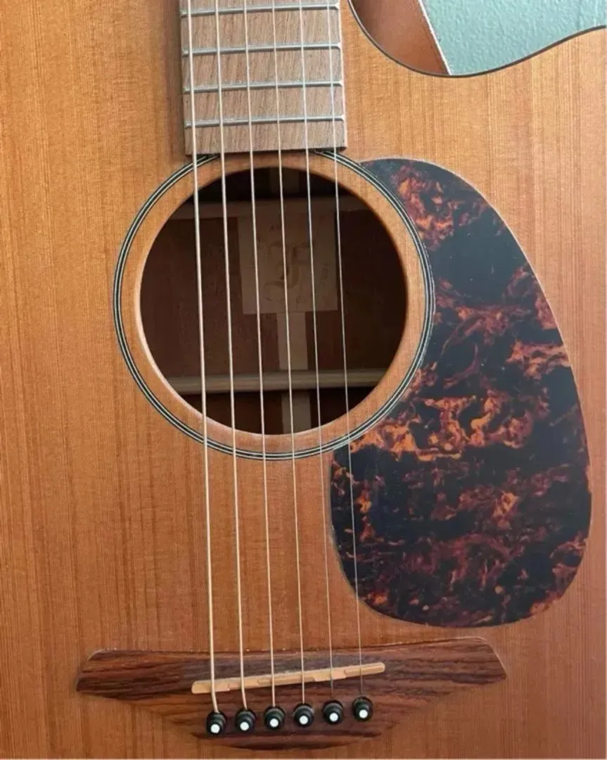 Furch gitar