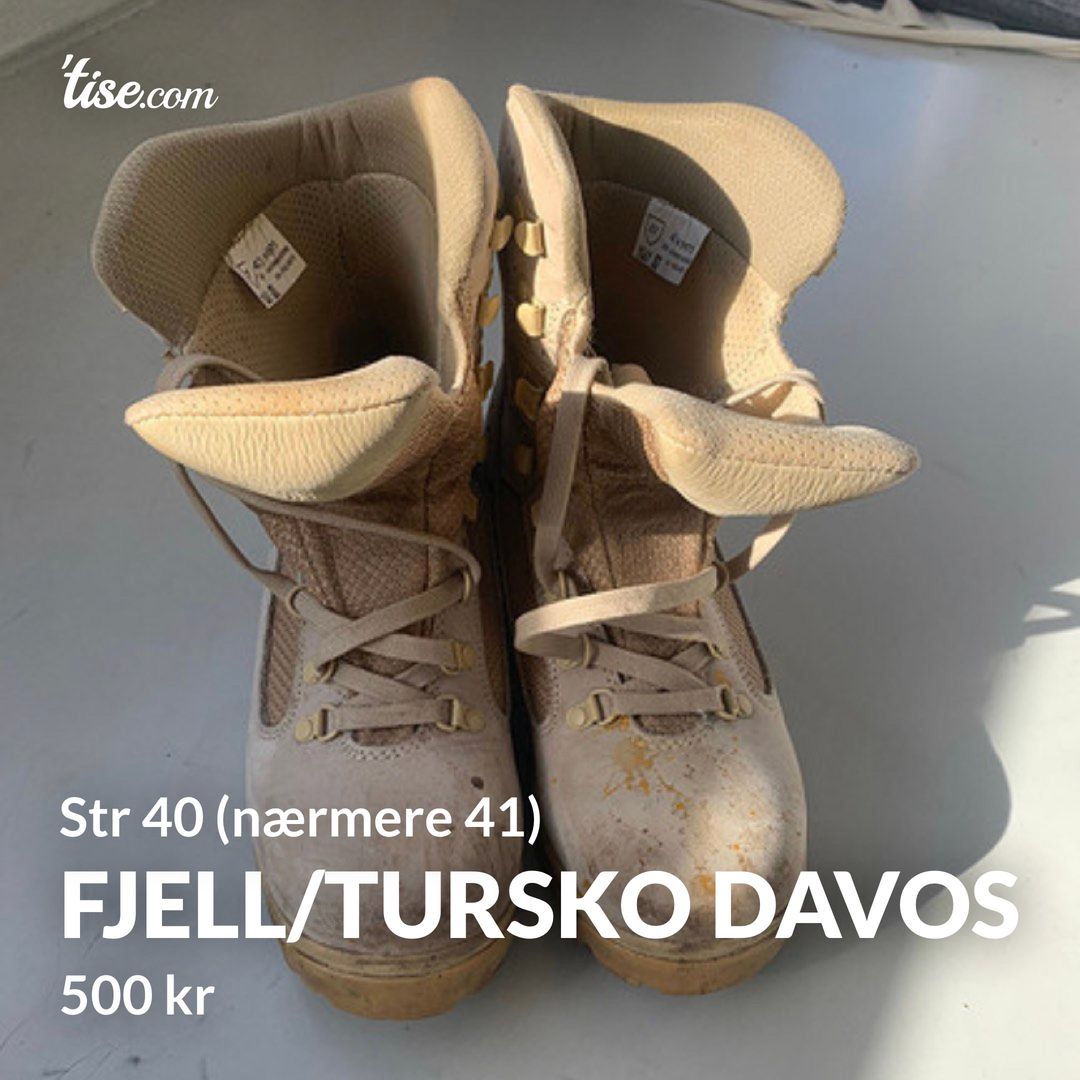 Fjell/tursko Davos