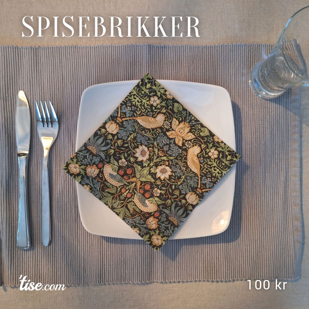 Spisebrikker