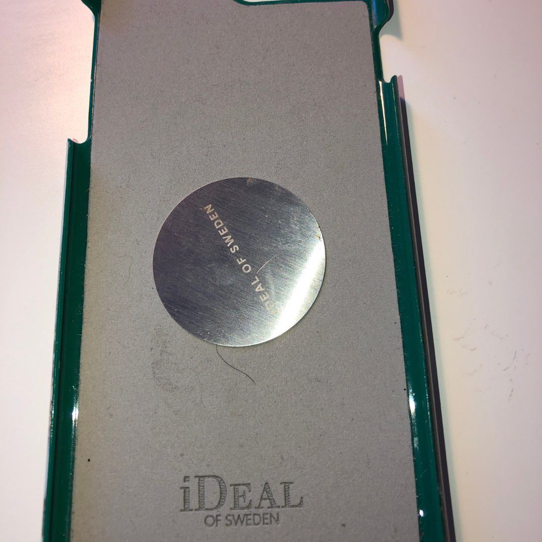 Ideal of Sweden case