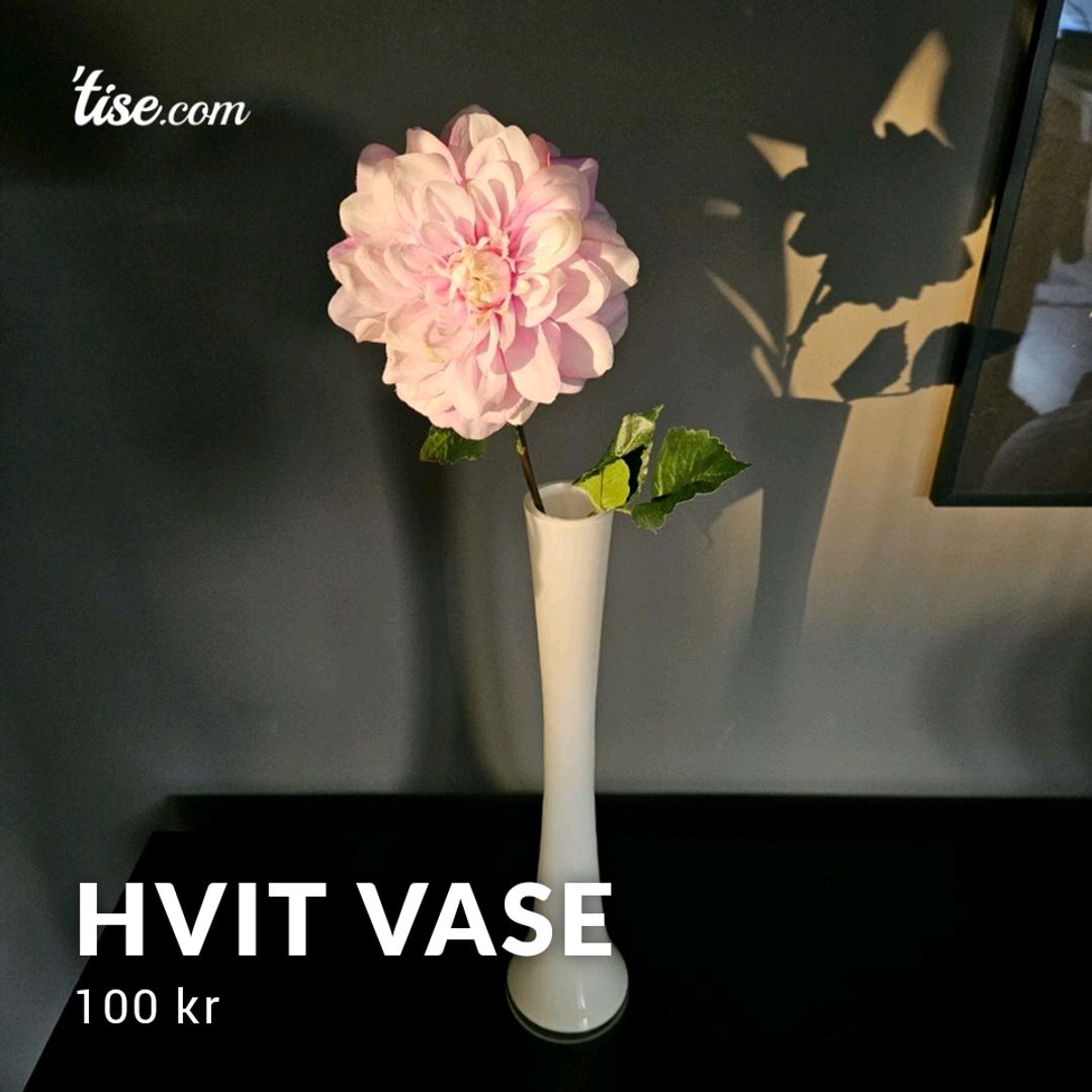 Hvit Vase