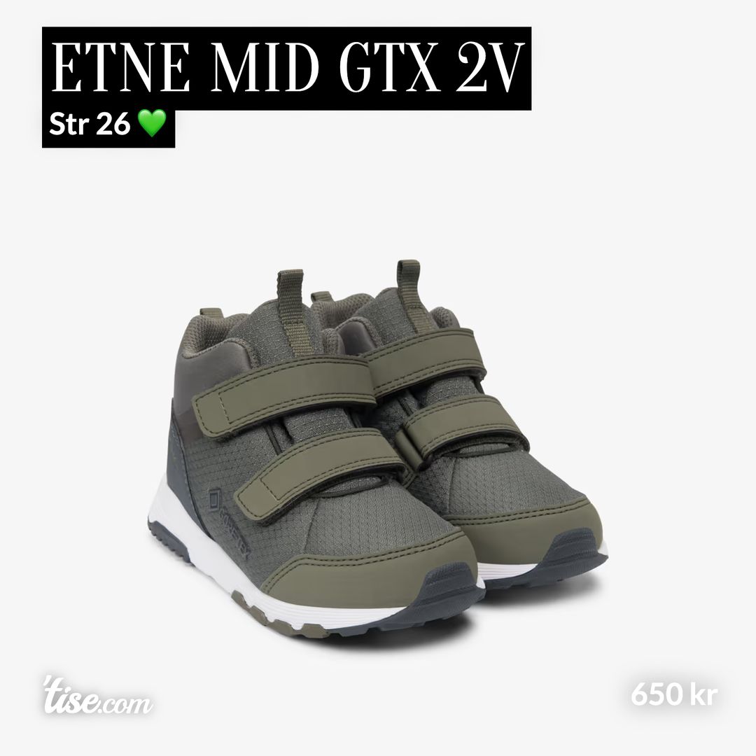 Etne Mid GTX 2V