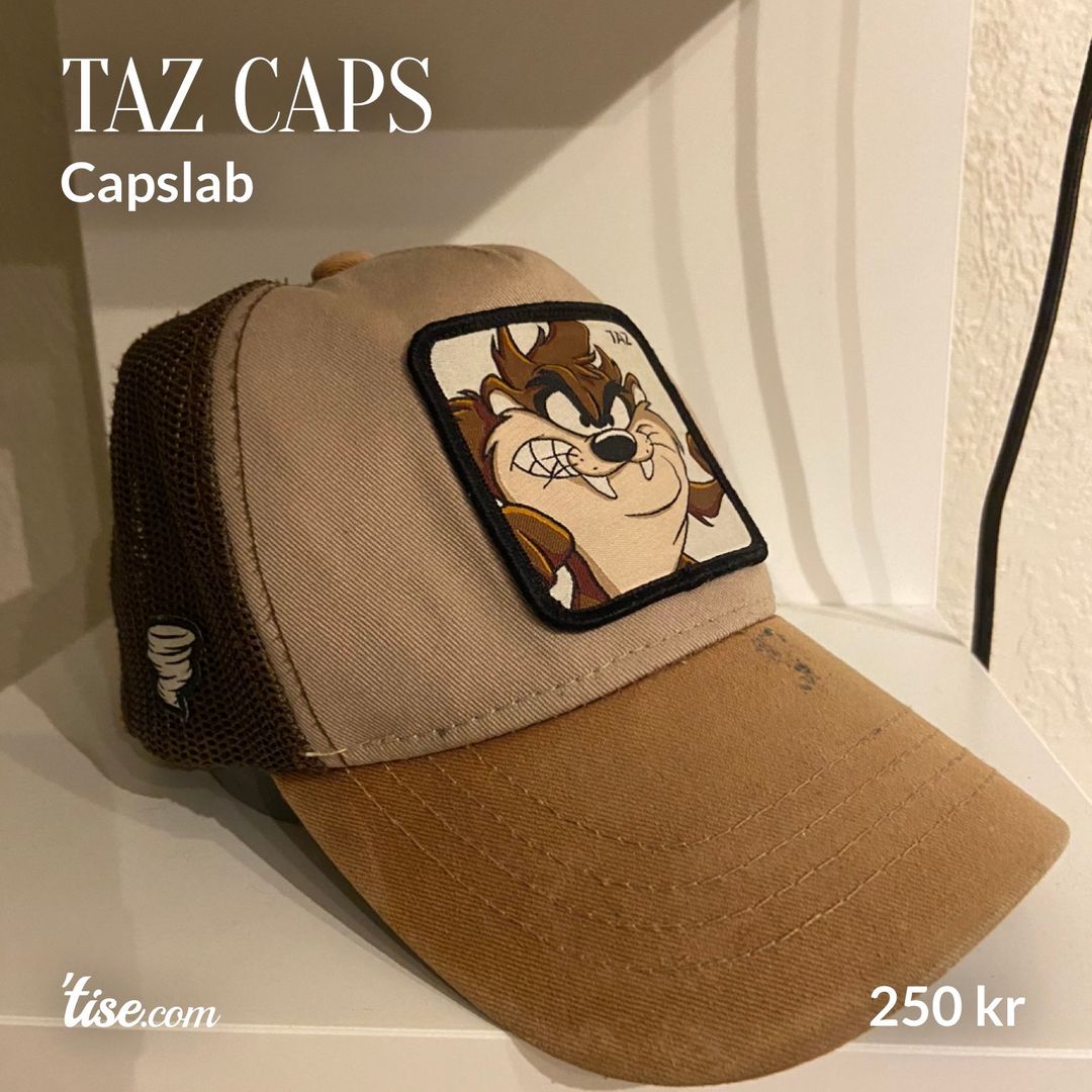 Taz caps