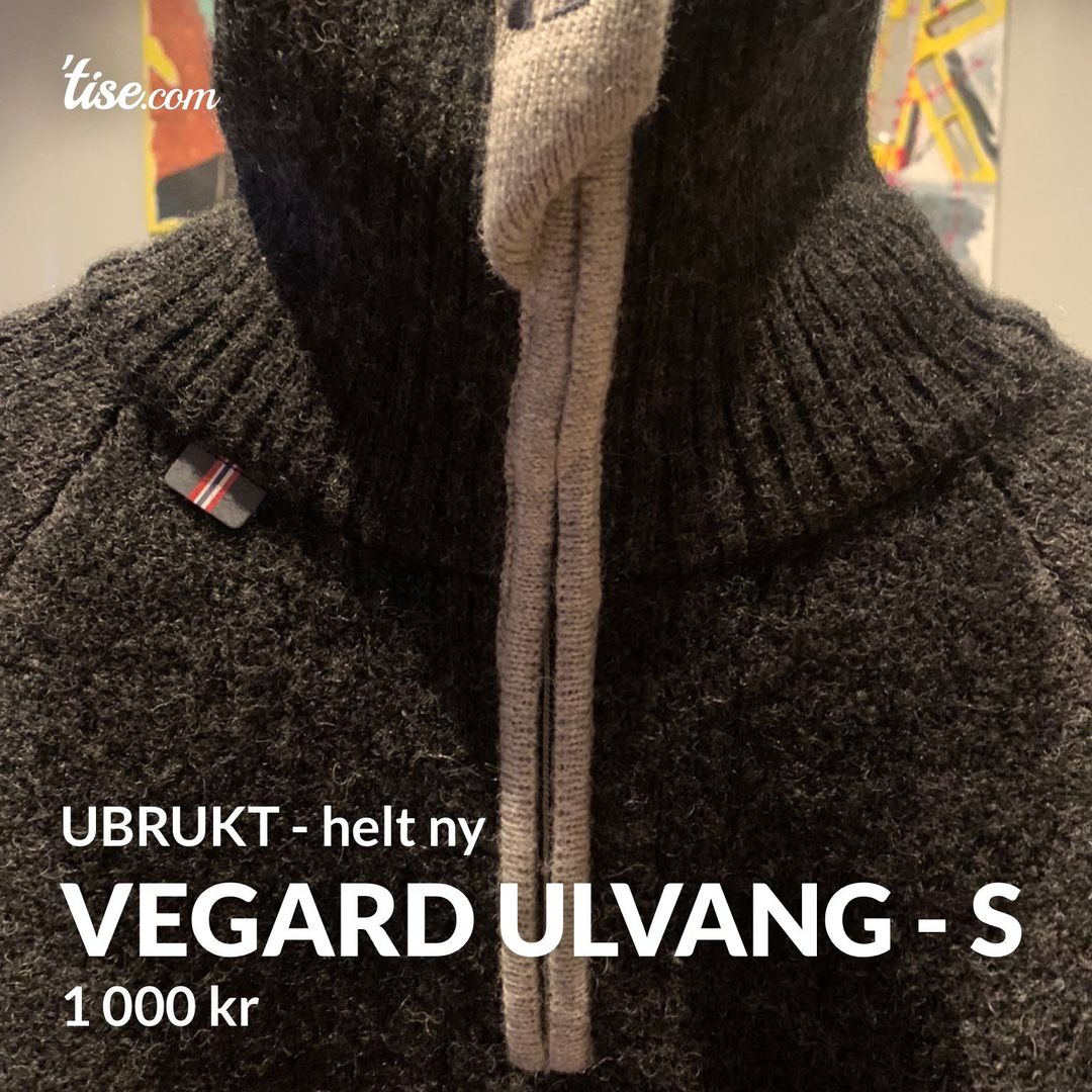 Vegard Ulvang - S