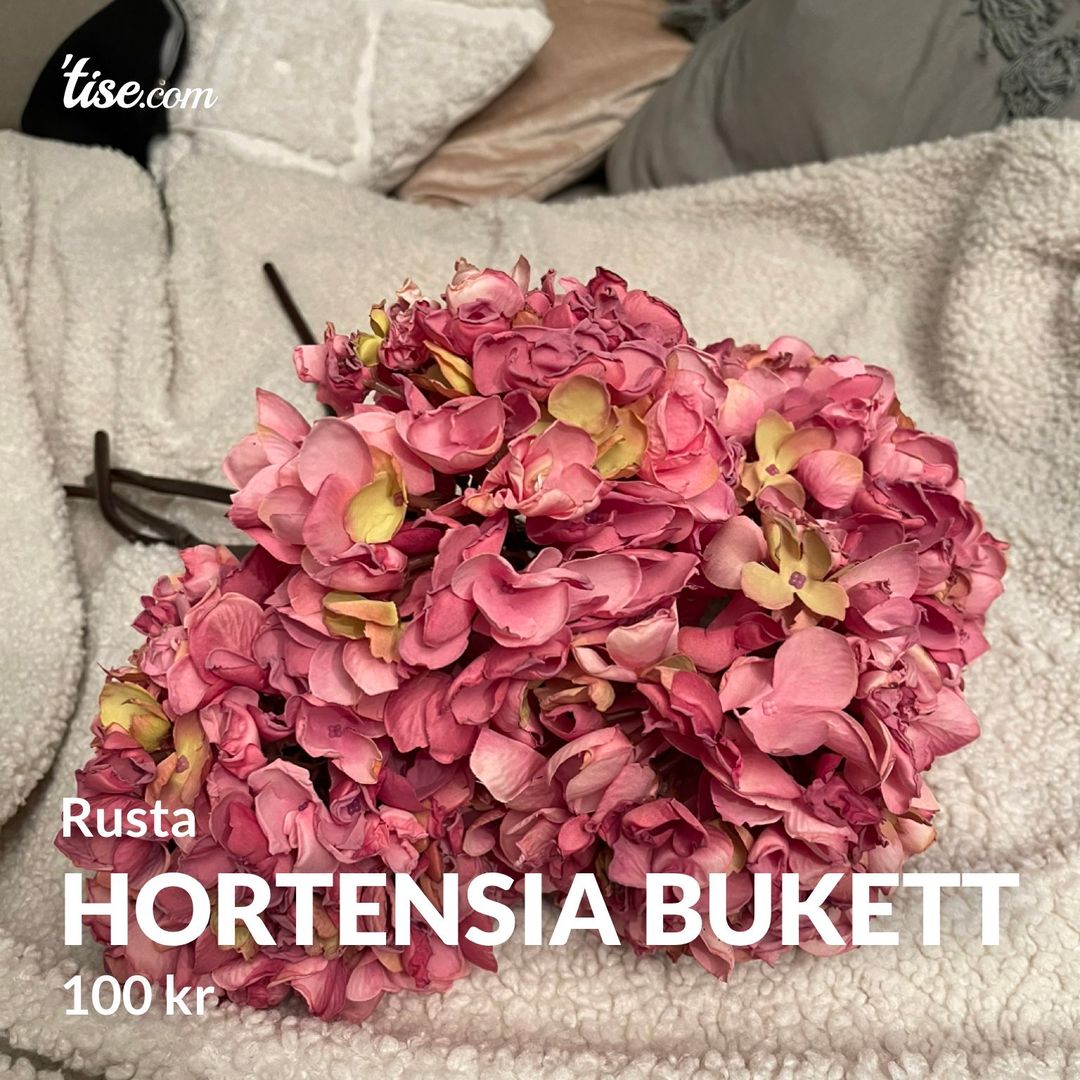 Hortensia bukett