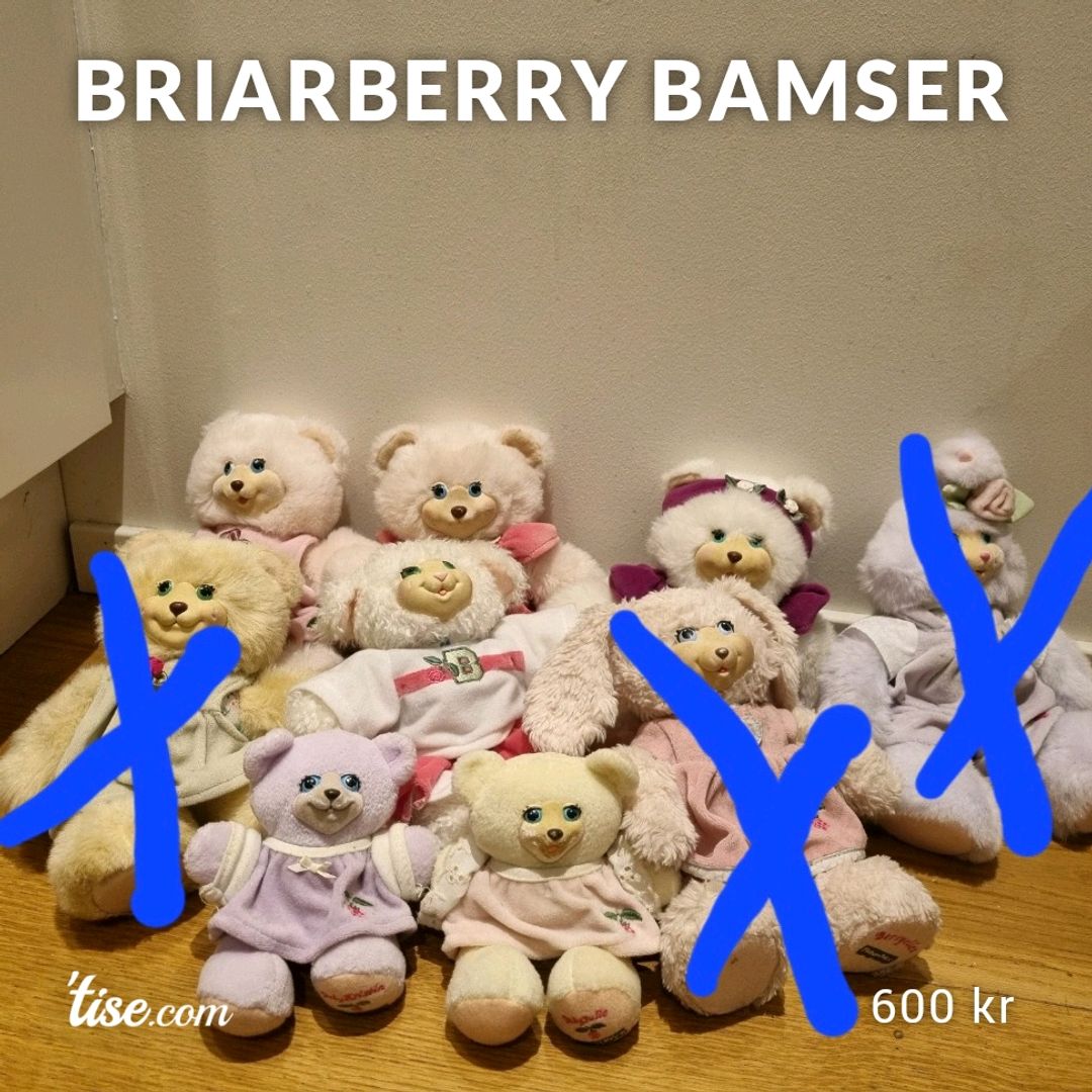 Briarberry Bamser