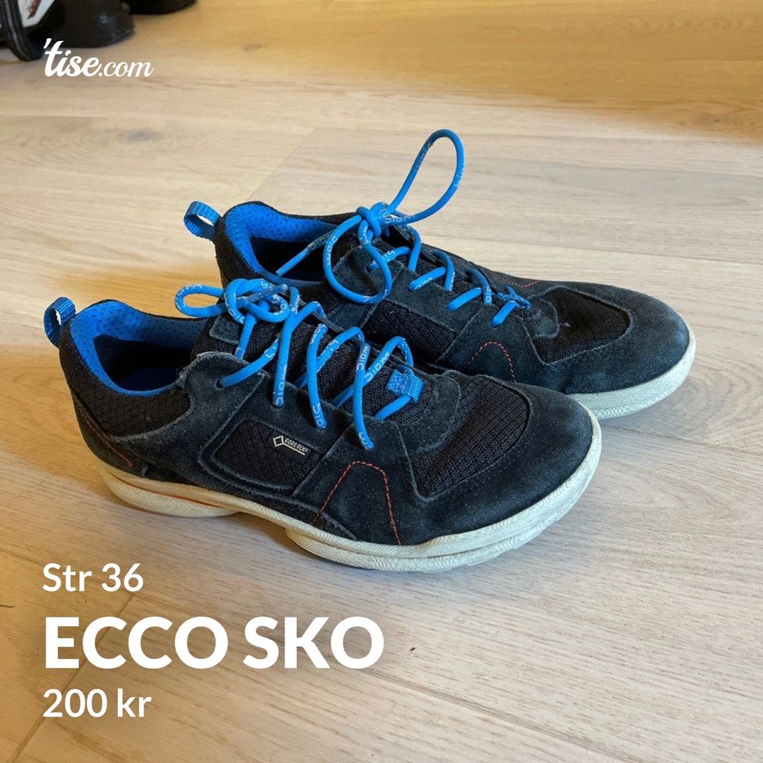 Ecco sko