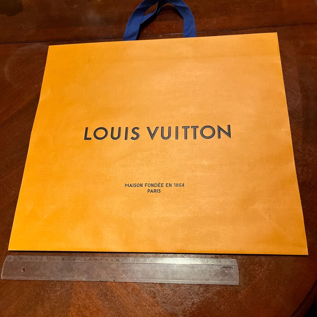 Louis vuitton pose