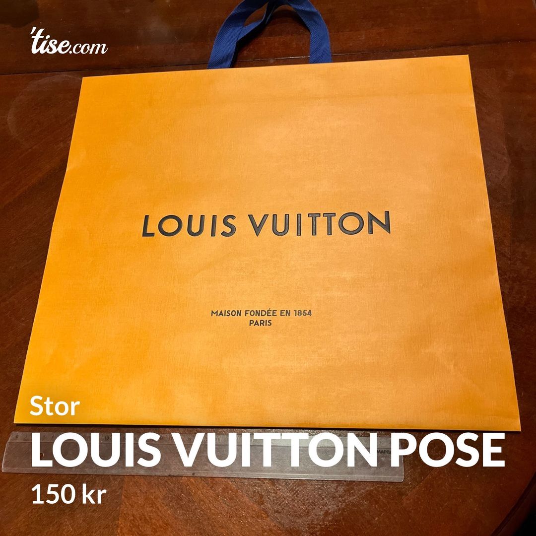 Louis vuitton pose