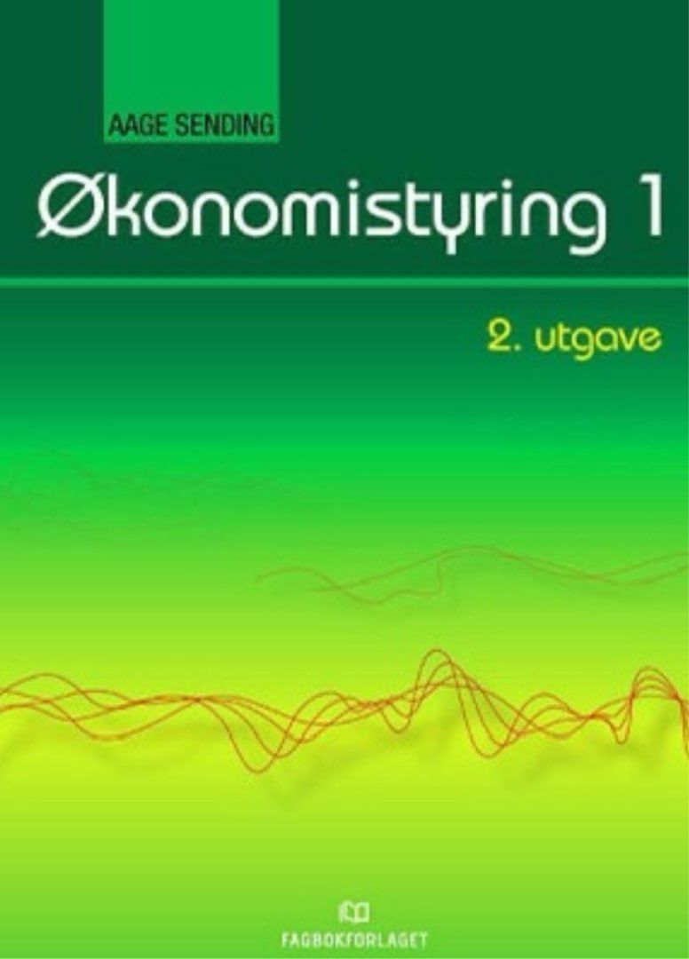 Økonomistyring