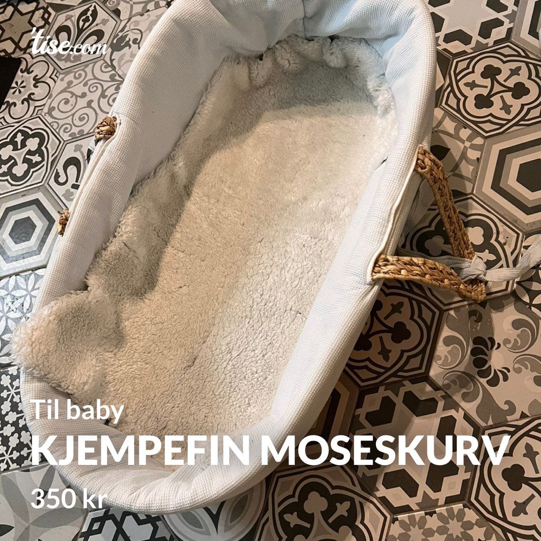 Kjempefin moseskurv