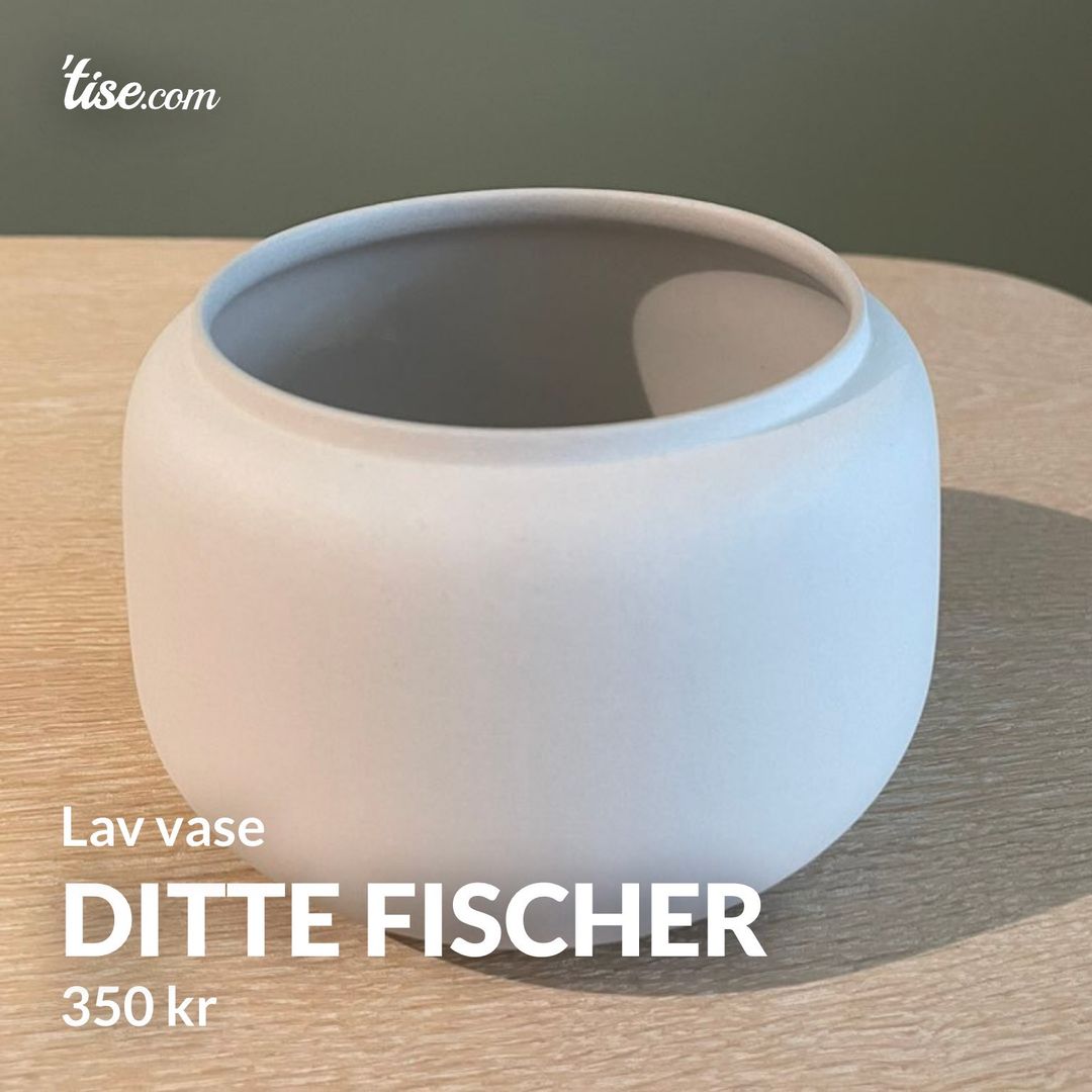 Ditte Fischer