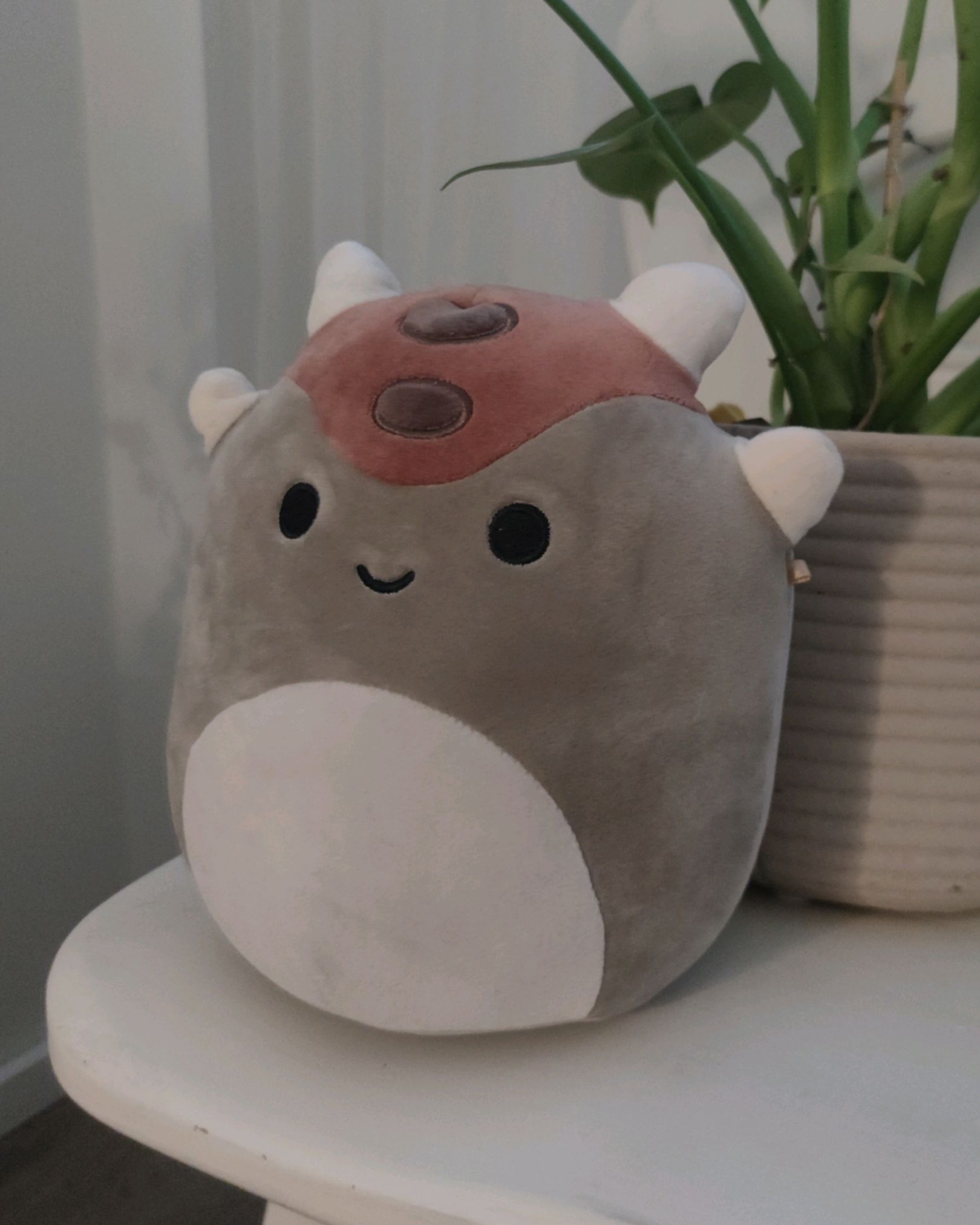 squishmallows