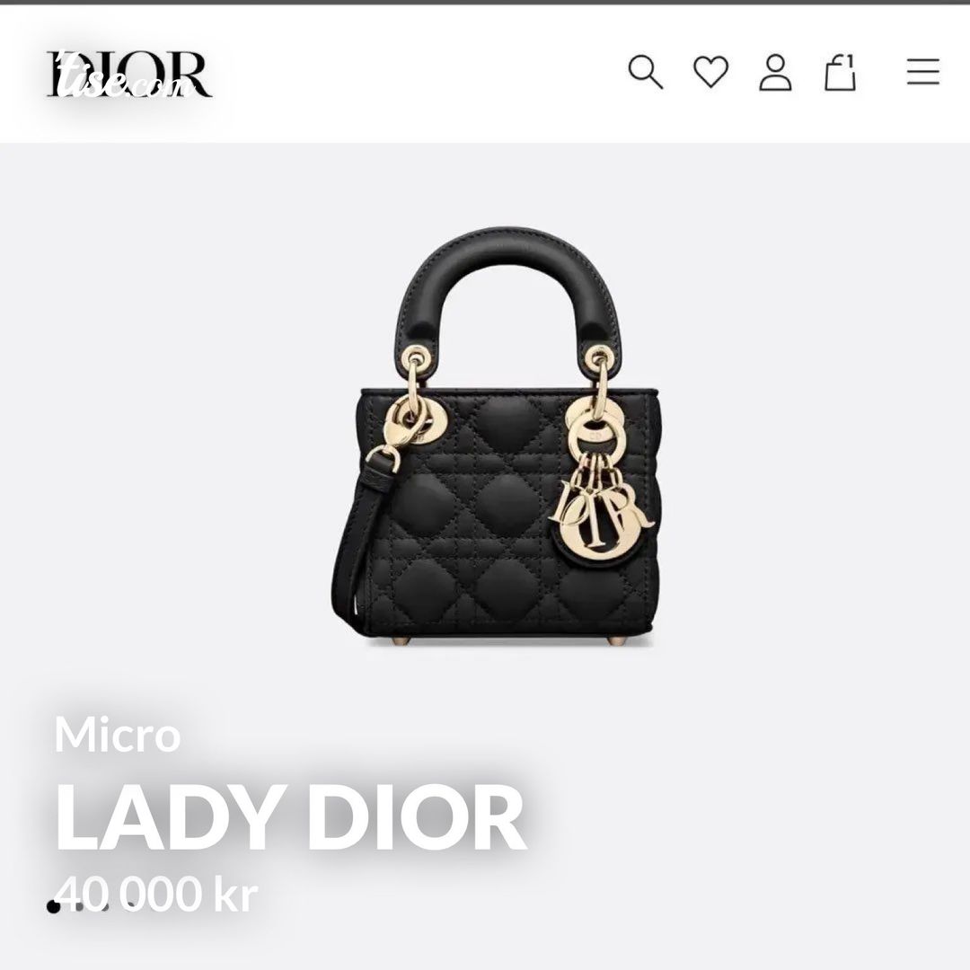 Lady dior