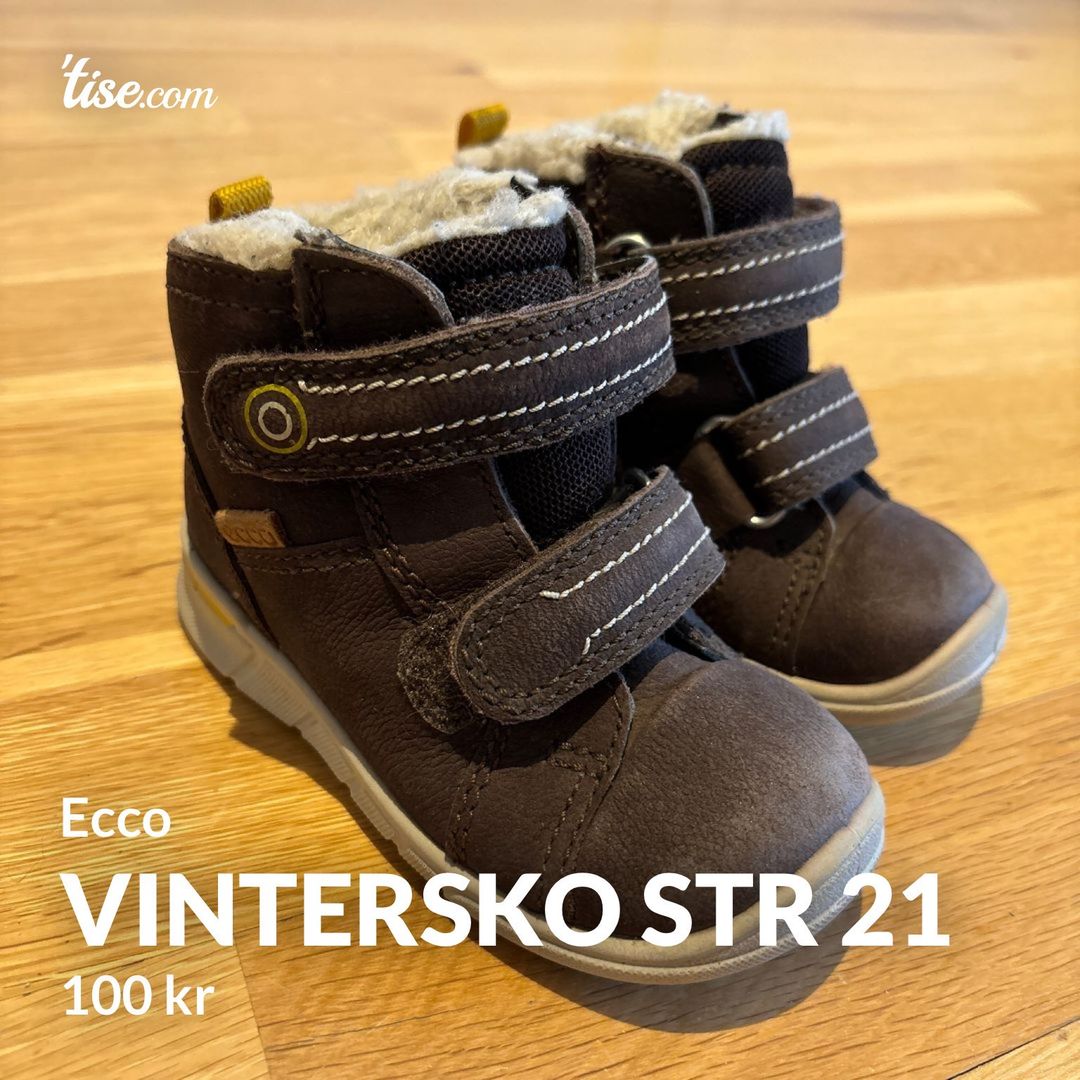 Vintersko str 21