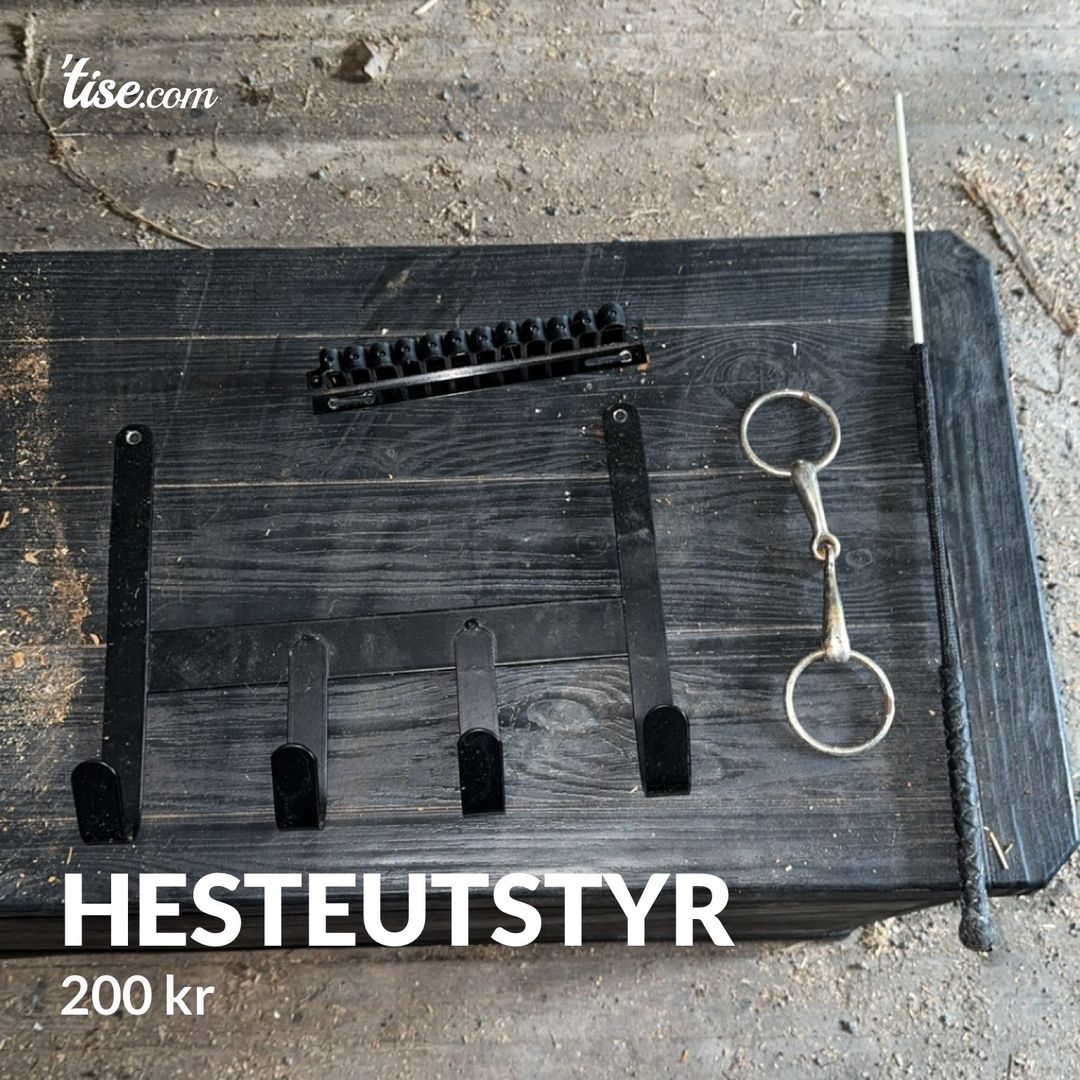 Hesteutstyr