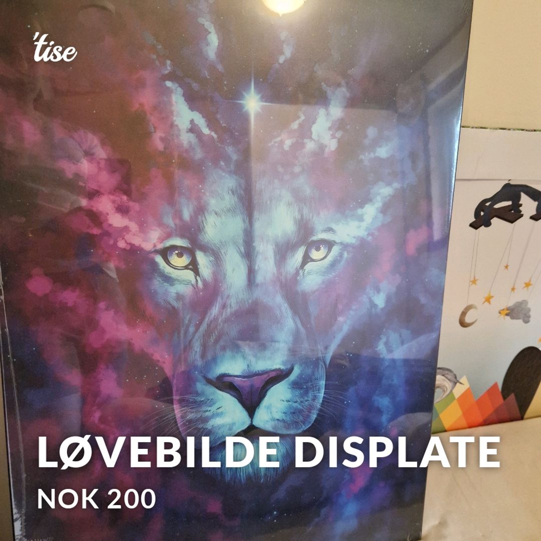 Løvebilde Displate