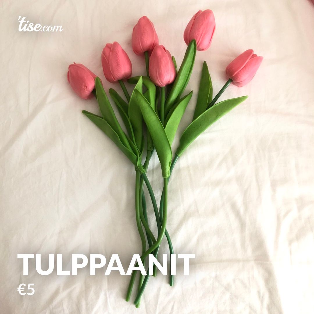 TULPPAANIT