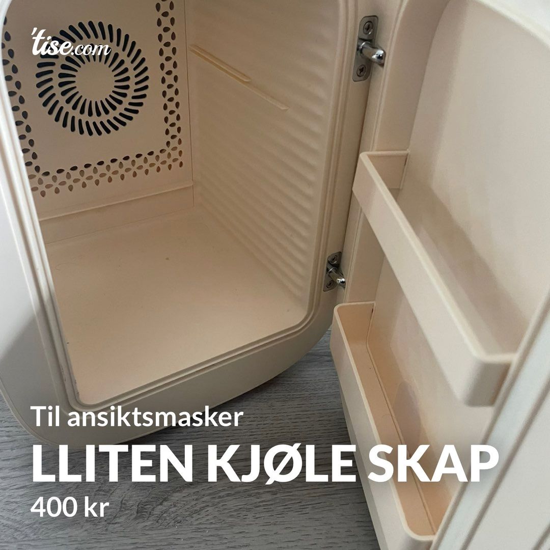 Lliten kjøle skap