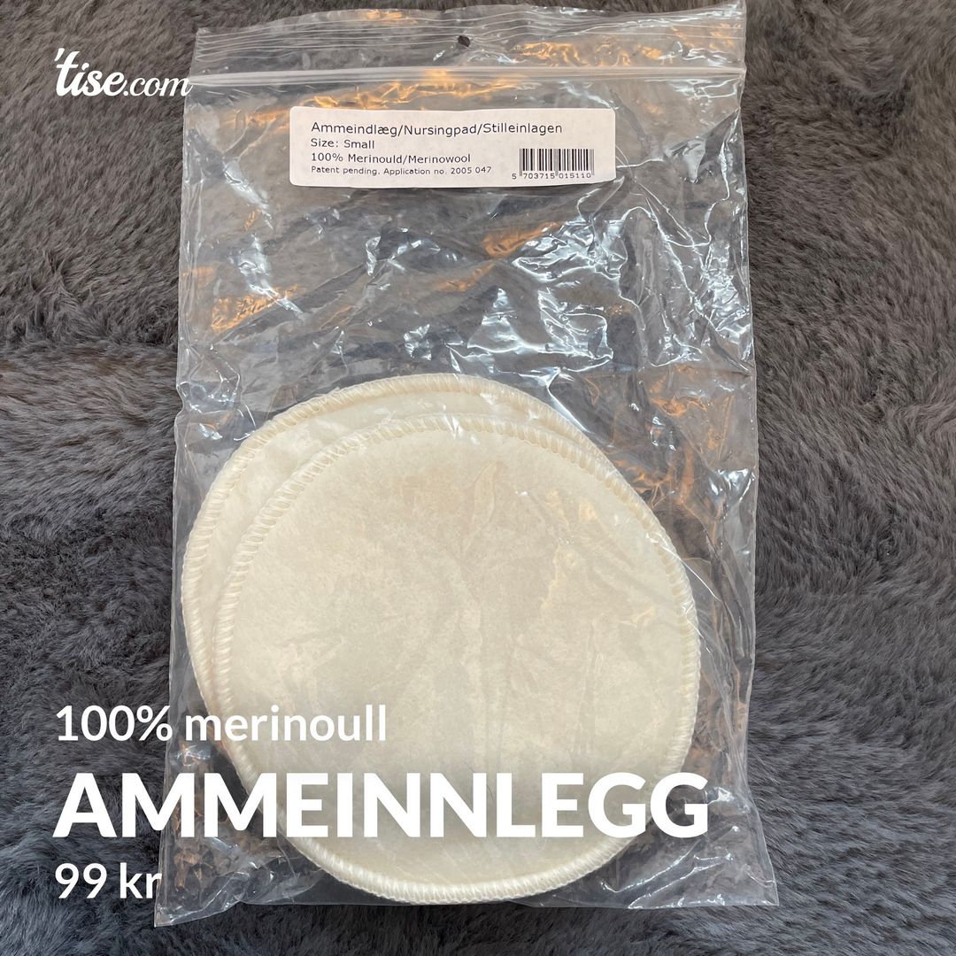 Ammeinnlegg