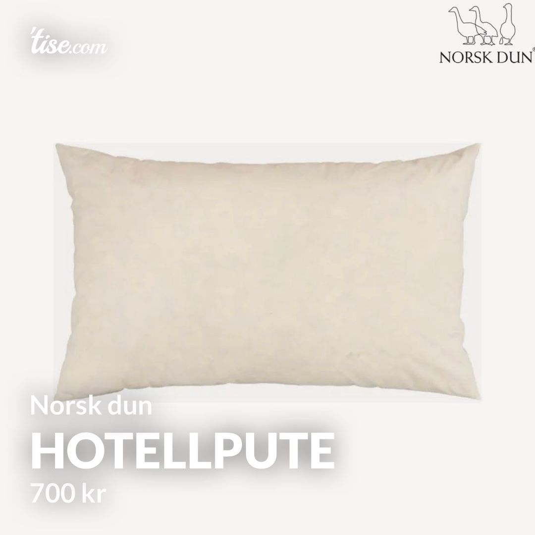 Hotellpute