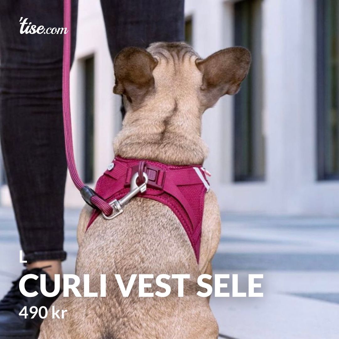 Curli vest sele