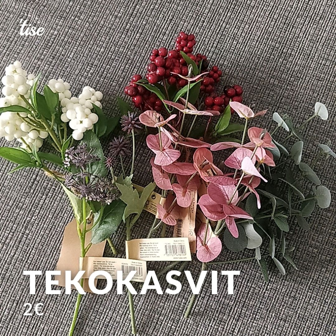 Tekokasvit