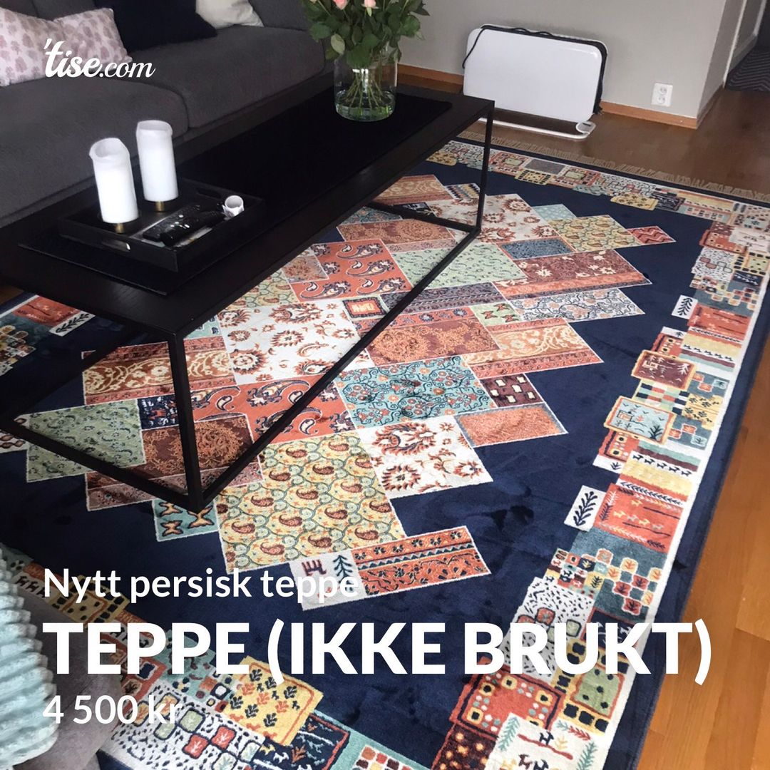 Teppe (IKKE BRUKT)