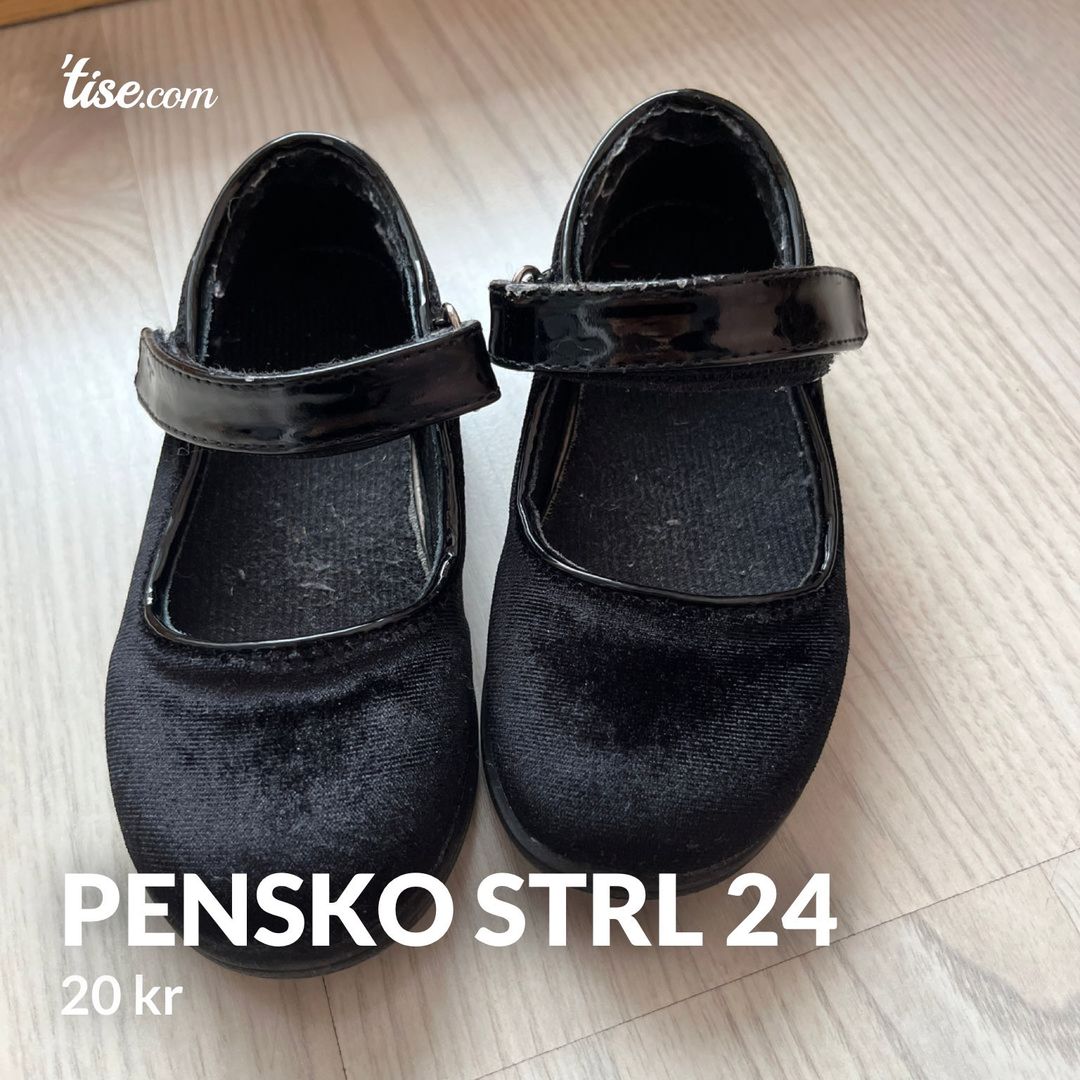 Pensko strl 24