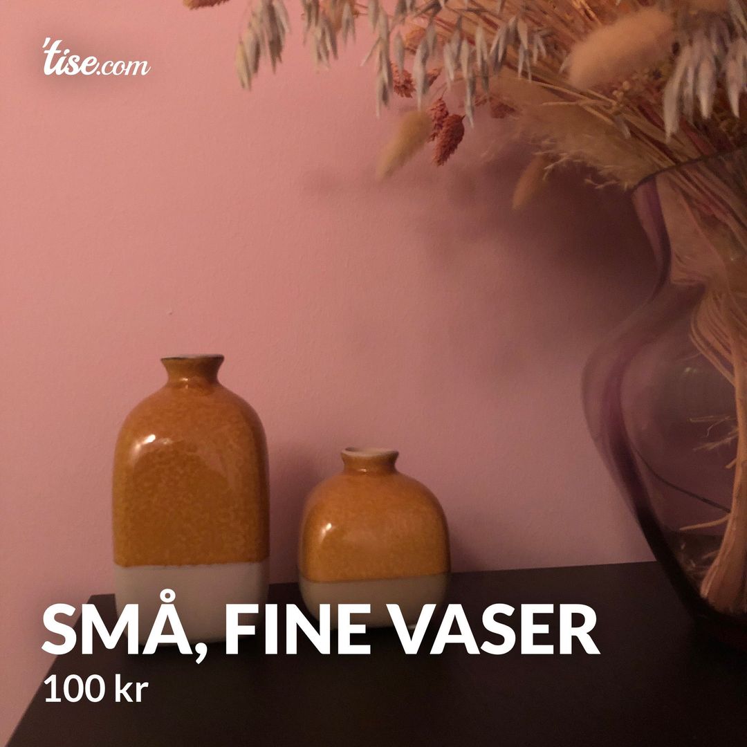 Små fine vaser