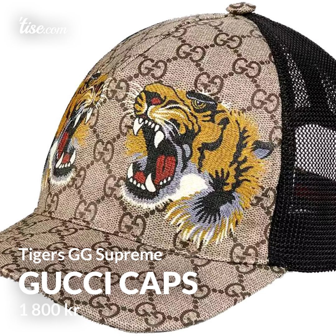 Gucci Caps