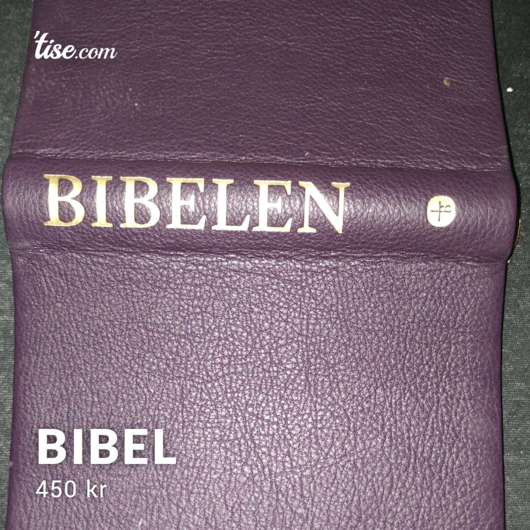 Bibel