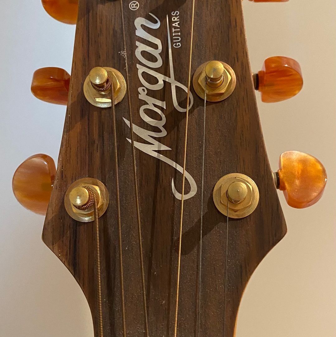 Morgan Guitar