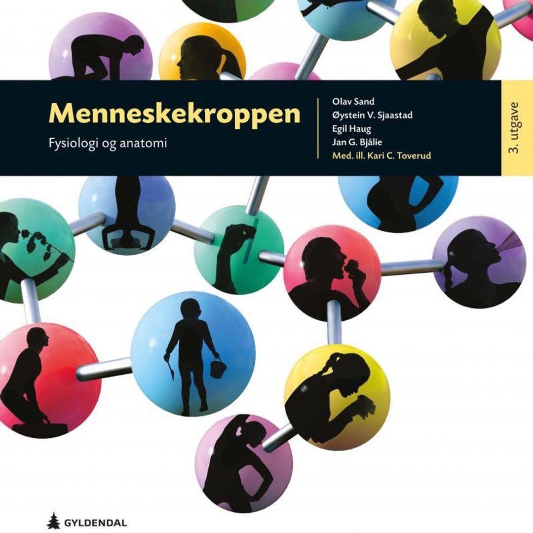 Menneskekroppen