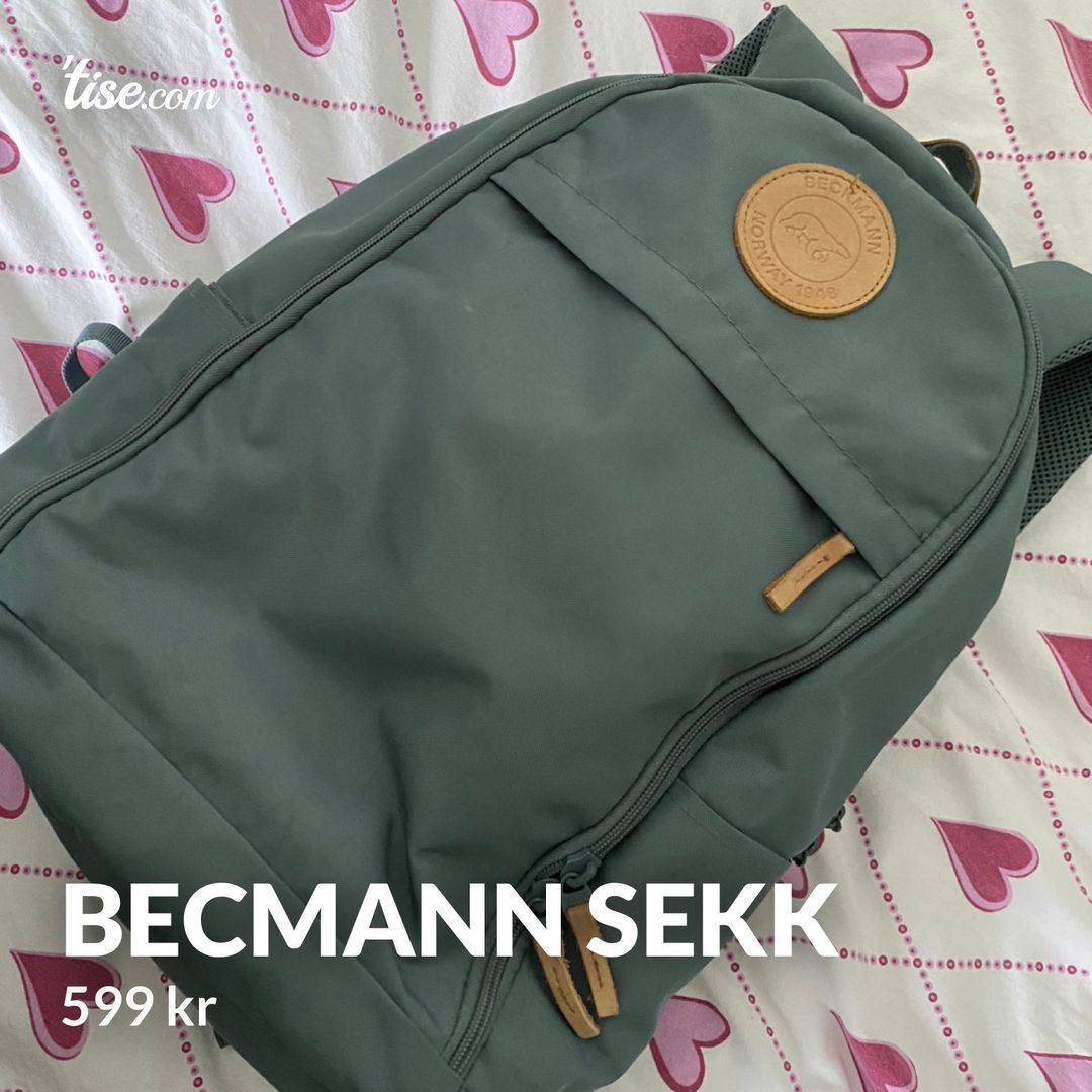 Becmann sekk