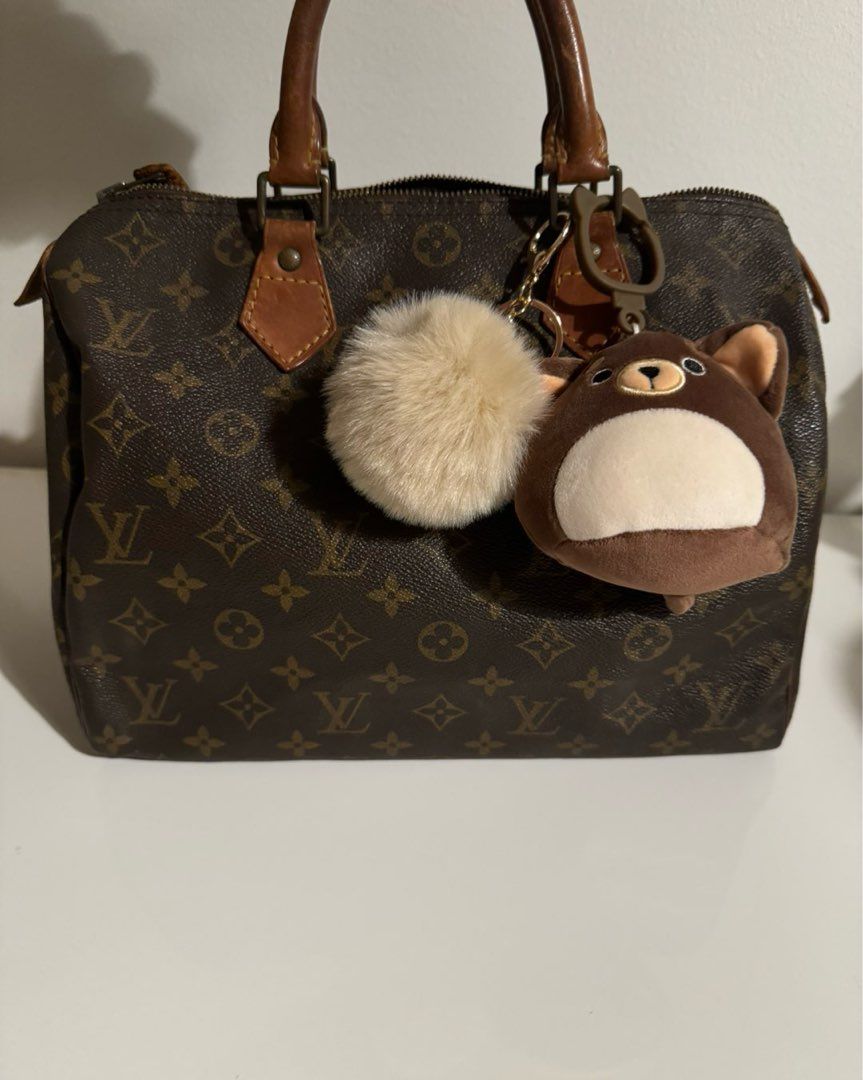 Louis vuitton speedy