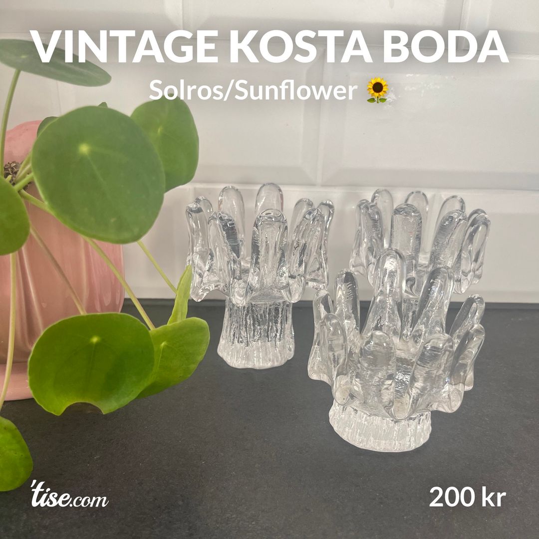 Vintage Kosta Boda