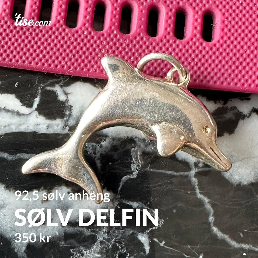 Sølv Delfin