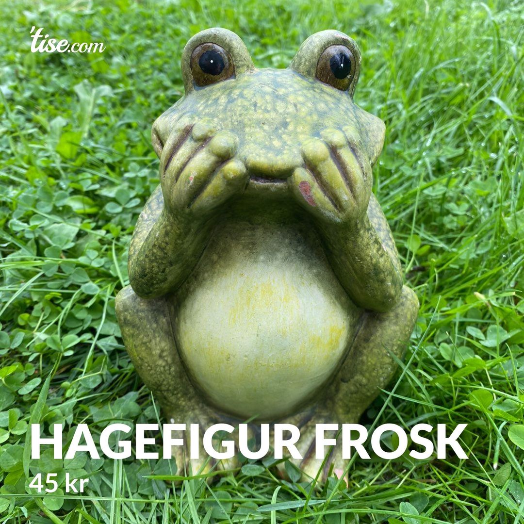 Hagefigur frosk