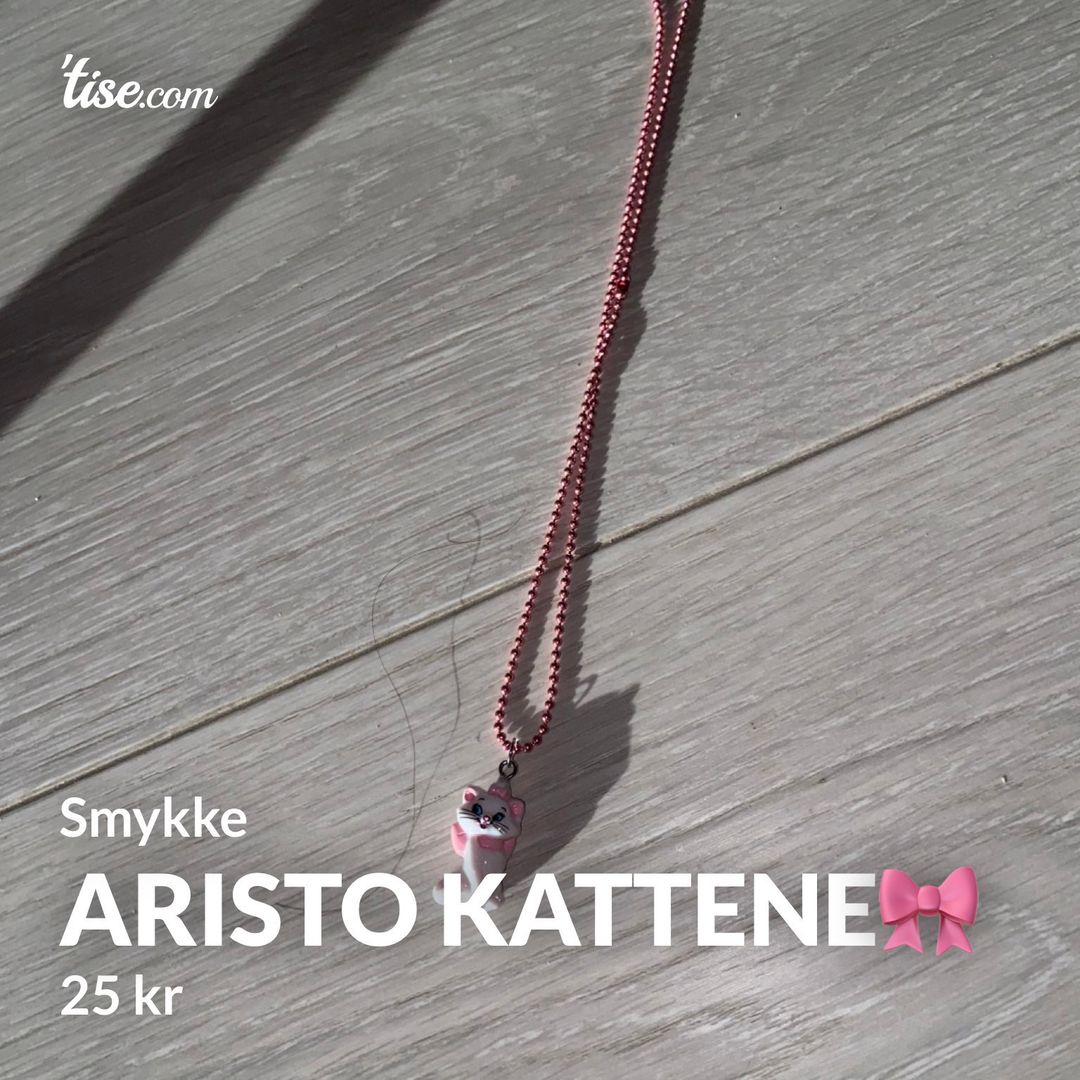 Aristo kattene🎀