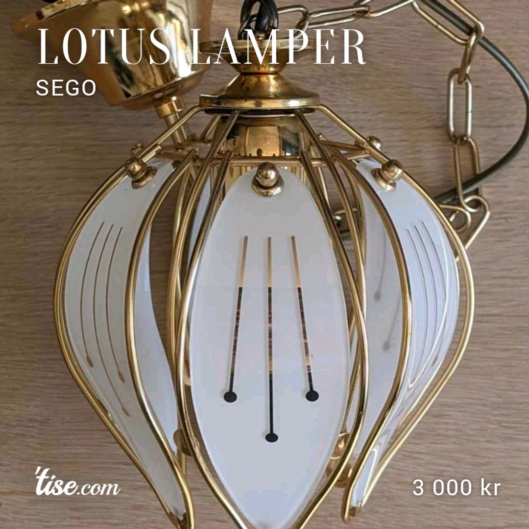 Lotus Lamper