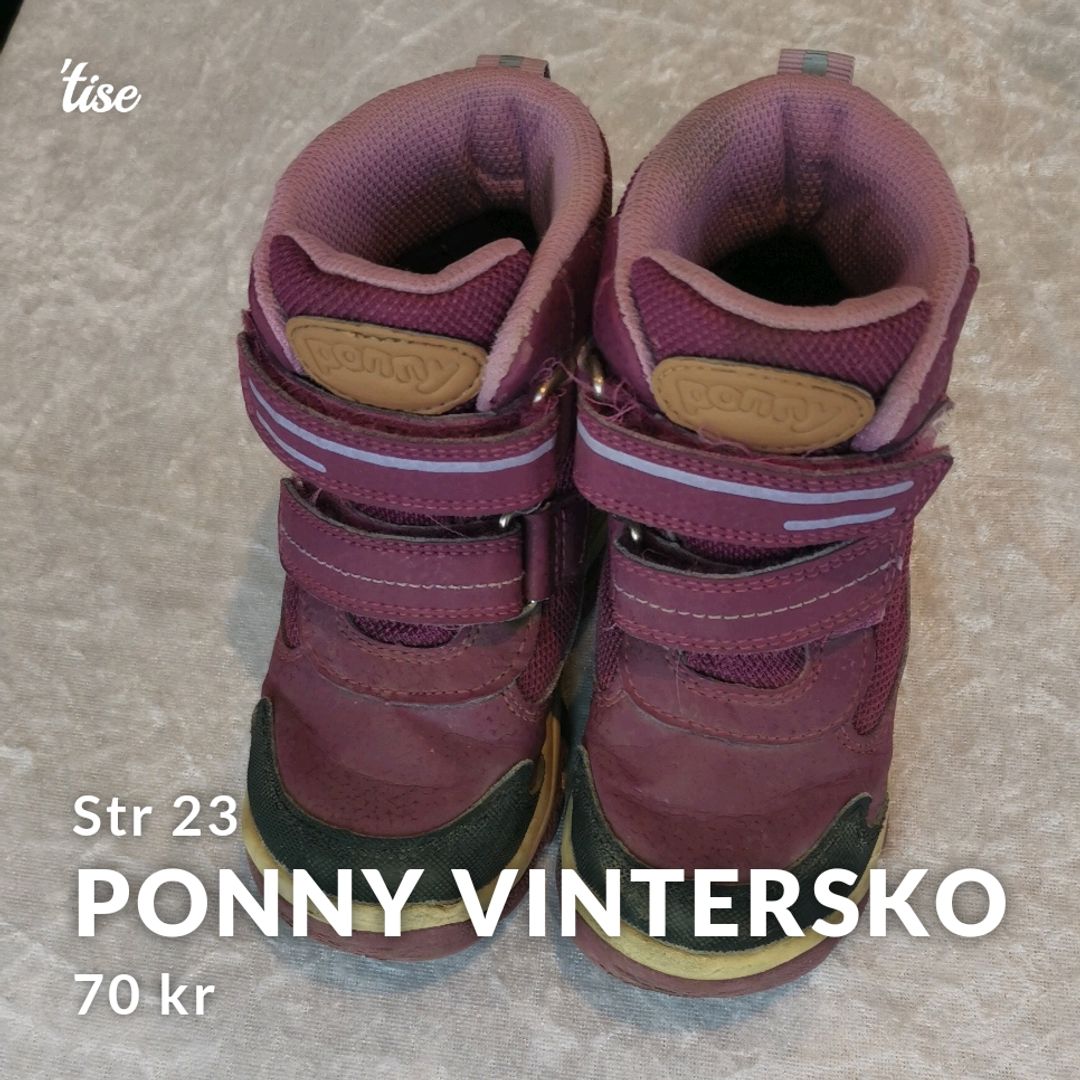 Ponny vintersko