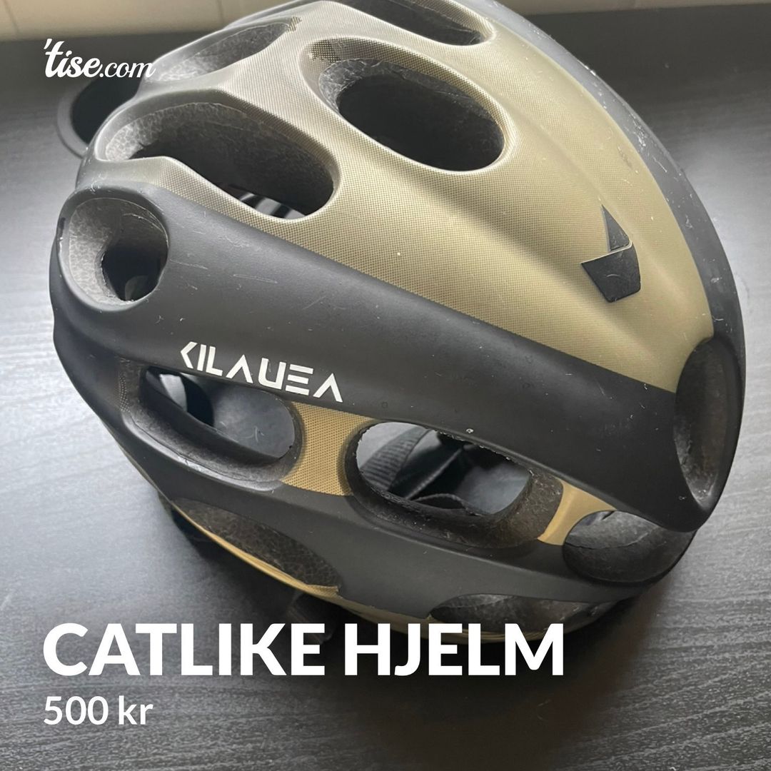 Catlike hjelm